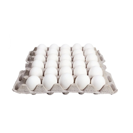 [000728] Huevo (unidades)